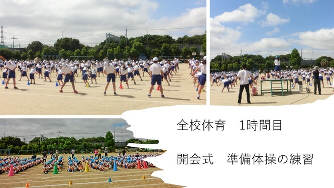 全校体育の様子