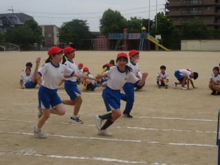 体育