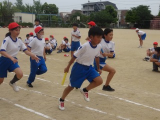 体育