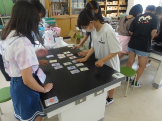 末広小学校　理科　分子模型