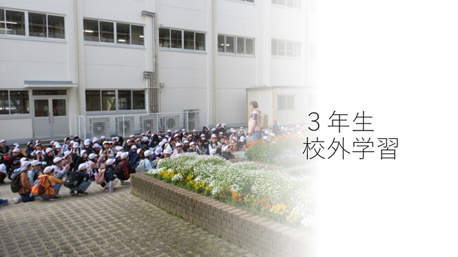 3年生