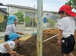 スコップで、掘ったり、盛ったりしています。