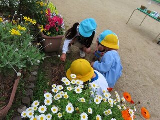 虫探しをしている子どもたちの写真