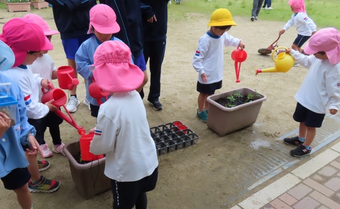 夏野菜を植えている子どもたちの写真