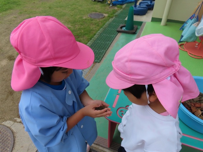 ダンゴムシを見つけて遊んでいる子どもたちの写真