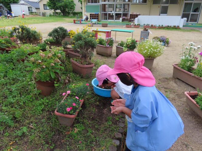 ダンゴムシを見つけて遊んでいる子どもたちの写真
