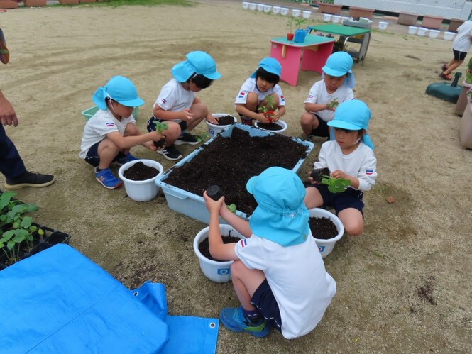 夏野菜を植えている子どもたちの写真