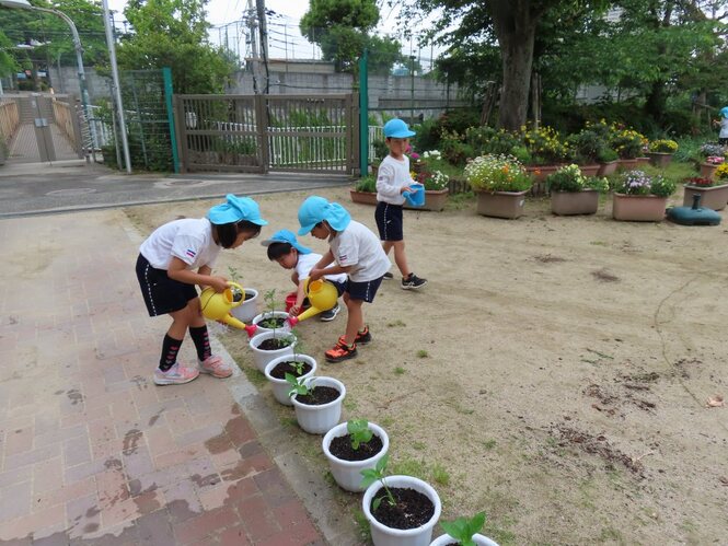 夏野菜を植えている子どもたちの写真