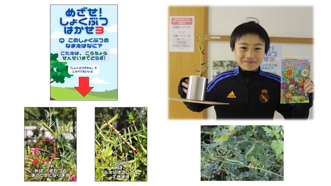 「めざせ！植物博士」クイズの正解者