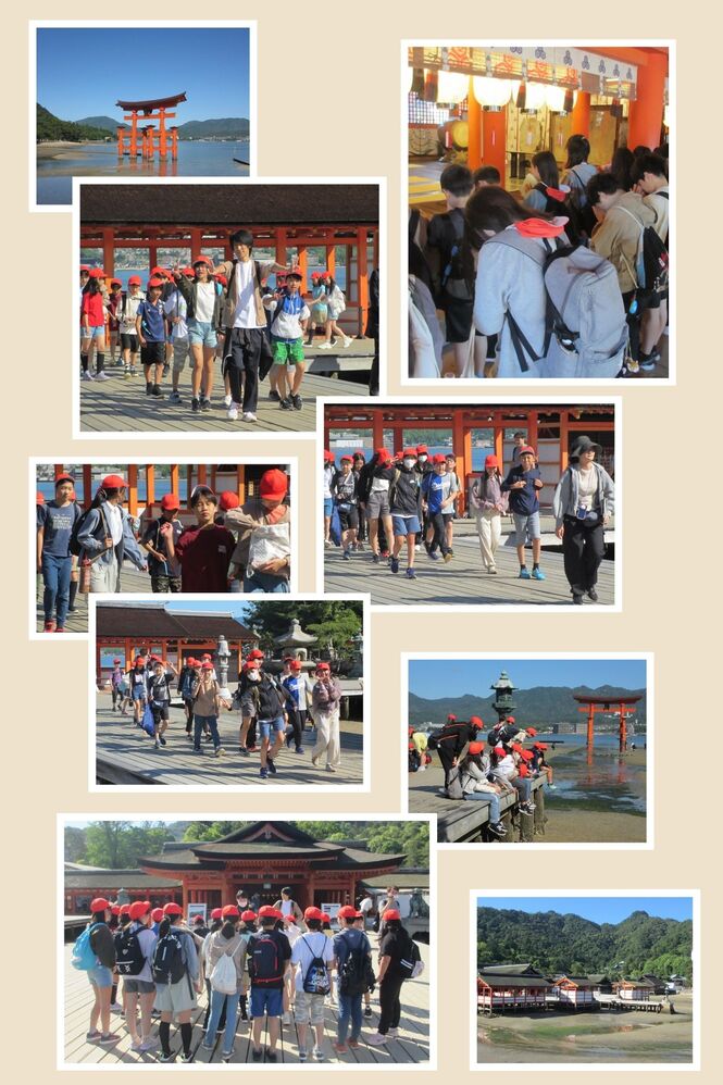 厳島神社の見学