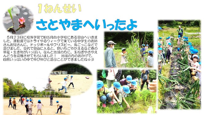 視覚配慮のため
