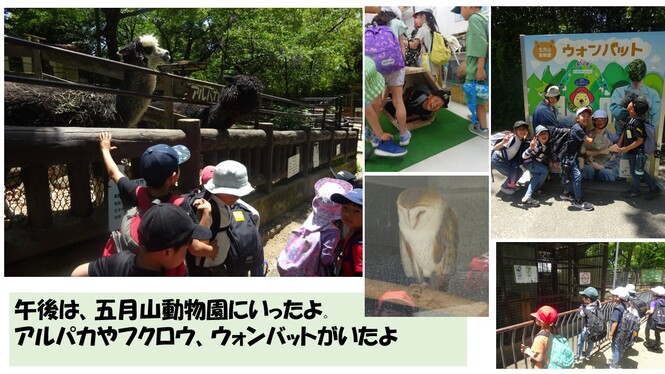 どうぶつ園