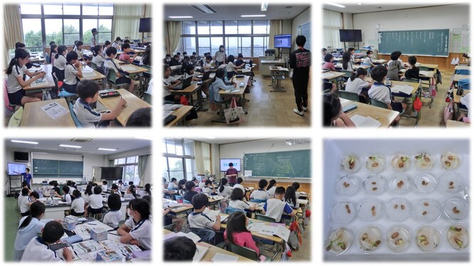5年生の学校生活の様子