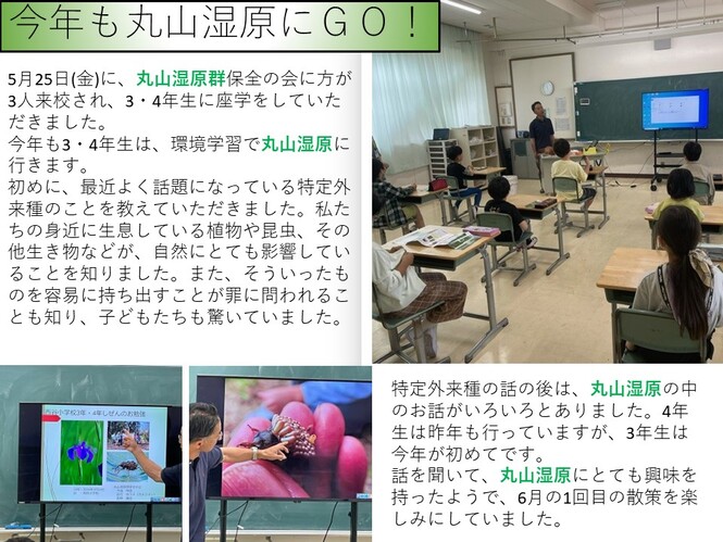 maruyamasitugenn