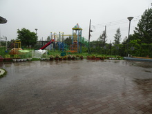 雨