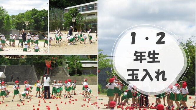 低学年