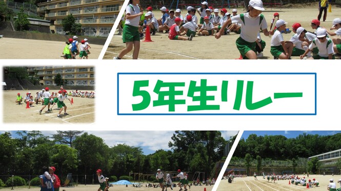 高学団