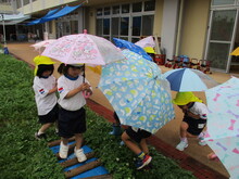 雨