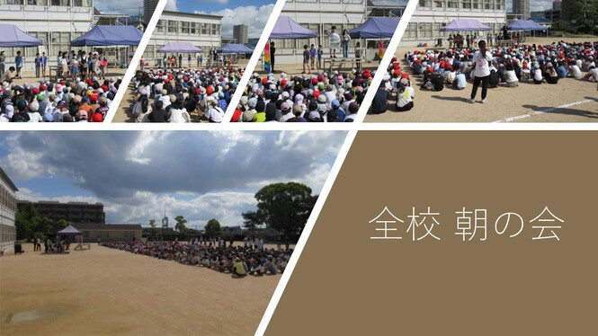 全校