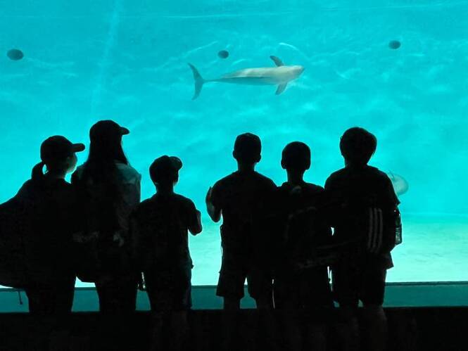 水族館
