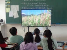 6年生