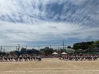 5年