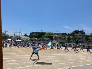 6年