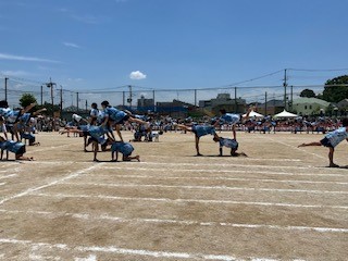 6年