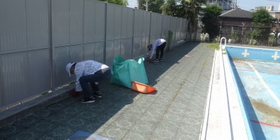 園芸ボランティア　末広小学校