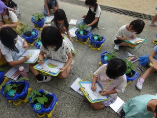 生活　末広小学校