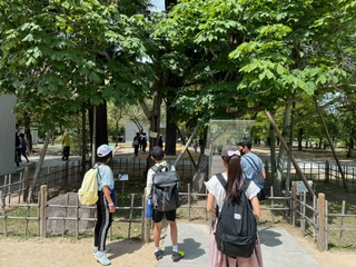 フィールドワーク