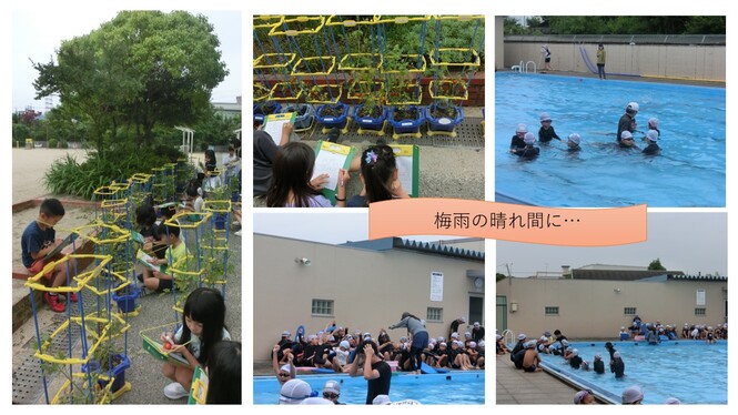 水泳と観察の様子
