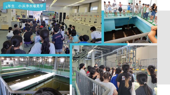 見学している様子