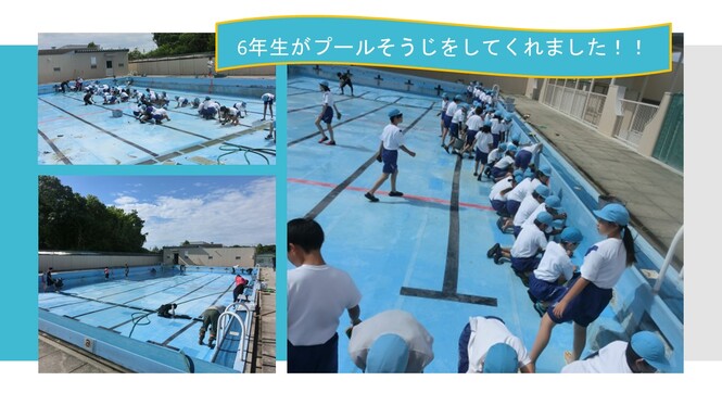 プール清掃の様子