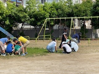 きらきら草引きに参加してくださったみなさま，ありがとうございました。