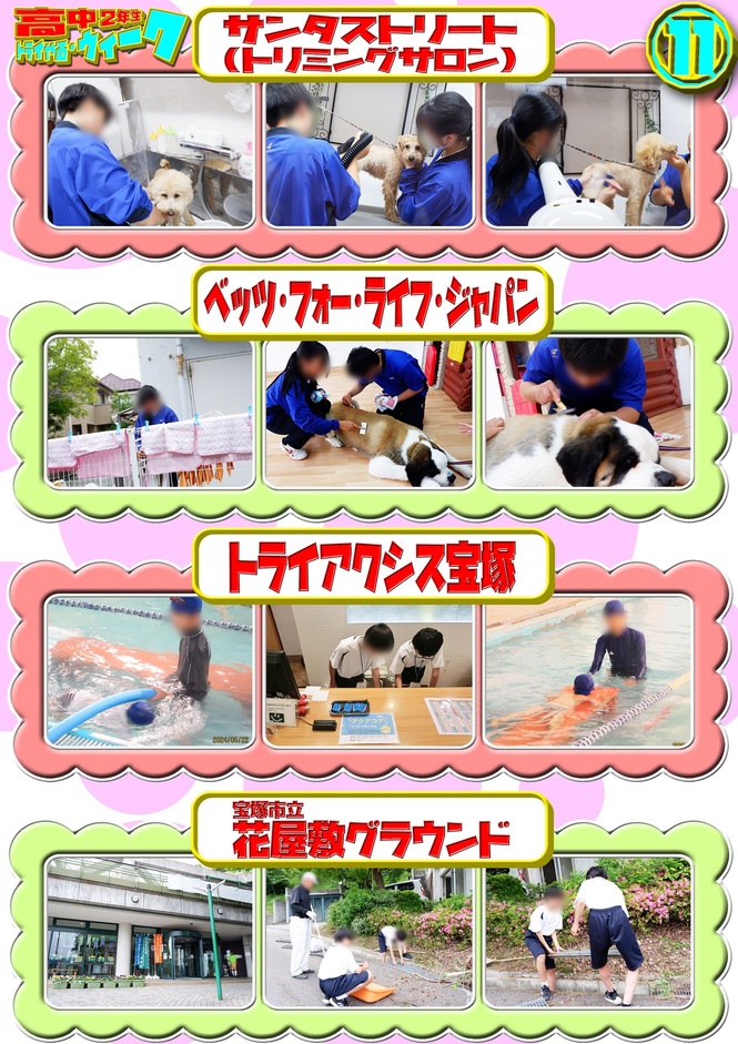トライやる（11）