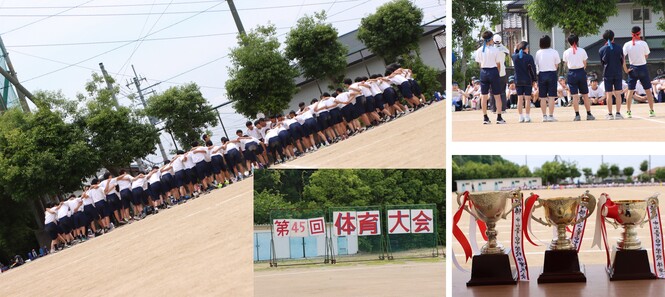 体育大会