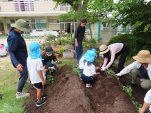 苗植えをしている子どもたちの写真