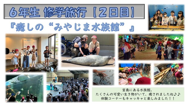 24suizokukan