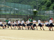 taiiku5