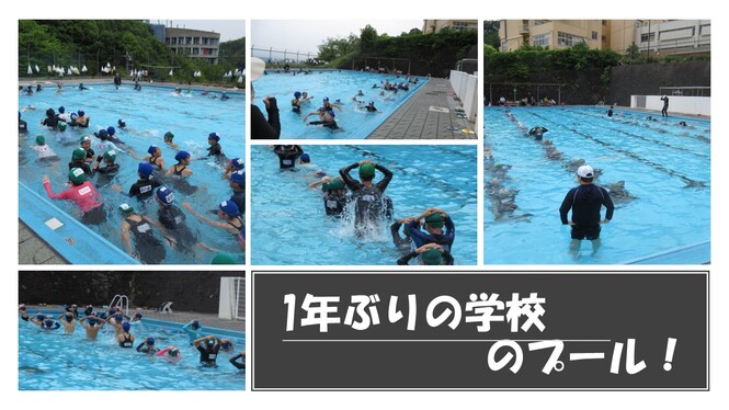 プール