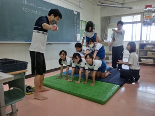 体育