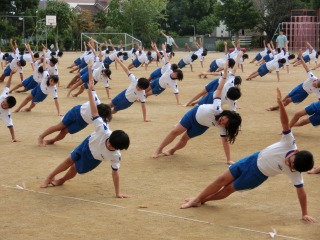 体育