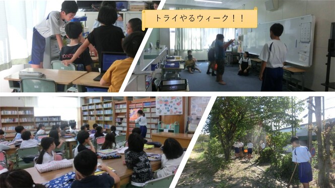 トライやるウィークの活動の様子