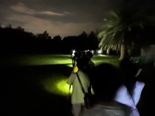 5年