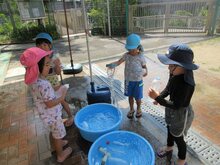 水遊びをしている子どもたちの写真