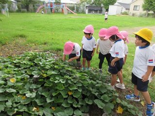 虫を見つけた子どもたちの写真