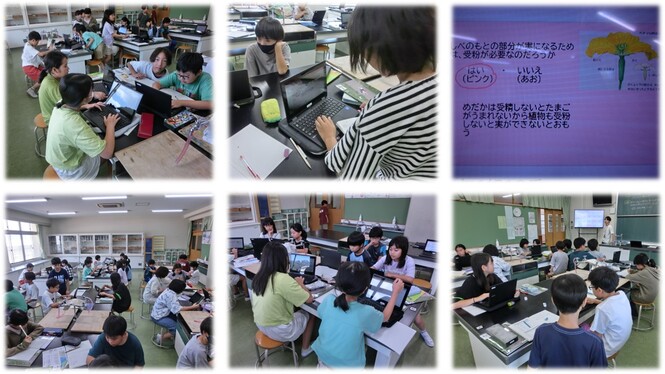 5年生の理科の授業の様子