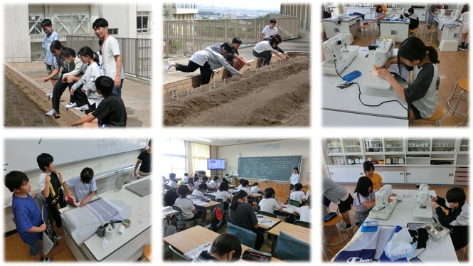 兵庫型教科担任制の様子