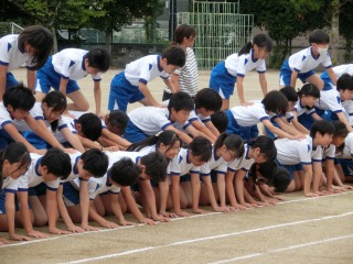 体育